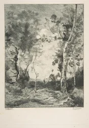 Il cavallo bianco