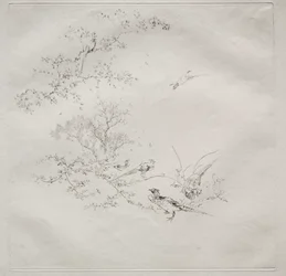Servizio parigino (servizio Haviland): Nebbia (n. 1)