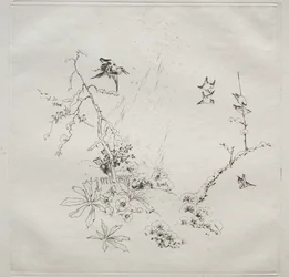 Servizio parigino (servizio Haviland): Neve (n. 6)