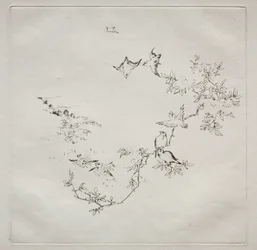 Servizio parigino (servizio Haviland): Alba (n. 12)