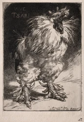 Il gallo francese, 1893
