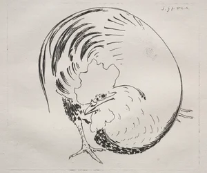 Il servizio ad alta cottura: gallo (controprova)
