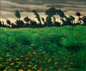 Il campo fiorito
