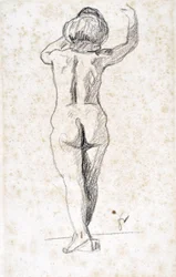 Nudo di schiena