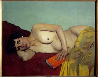 La lettura abbandonata, dipinto di Félix Vallotton (1865-1923), XX secolo, dimensioni 0,81 x 1 m, Lione, Musée des Beaux-Arts