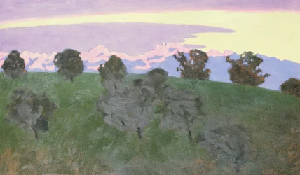 Immagine sconosciuta