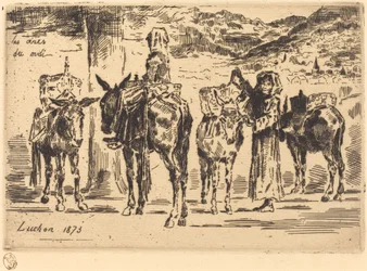 Foglie di Asini del Sud
