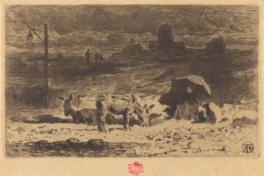 Gli asini di La Butte-aux-Cailles