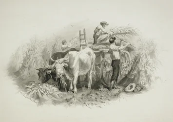 Scena di fienagione