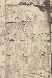 Karnak (Tebe), Palazzo - Sala ipostila - Colonnata centrale - Decorazione di un Fut, 1853 (foto)