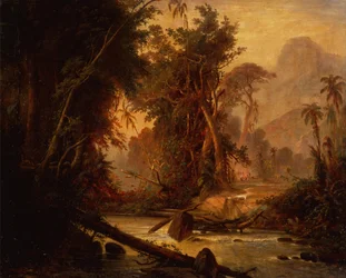 Una foresta tropicale in Venezuela