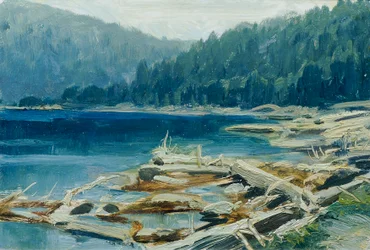 Foresta boema (dalla cartella 