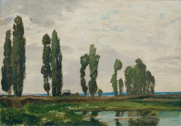 Táborsko (dalla cartella "16 vedute di paesaggi cechi 