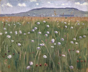 Pezzo di prato, c.1901