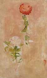 Zynien, Studio