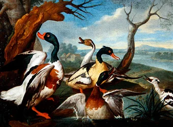 Anatre in un paesaggio fluviale