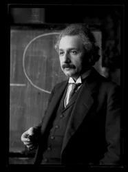 Ritratto di Albert Einstein (1879-1955)