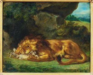 Leone che divora un coniglio - un leone che divora una lepre ...