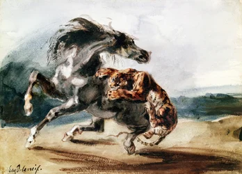 Tigre che attacca un cavallo selvaggio