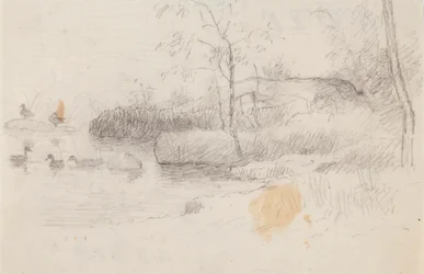 Paesaggio con anatre