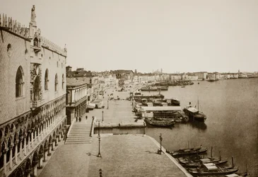 Senza titolo (89)