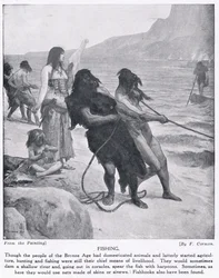 Pesca, illustrazione da 