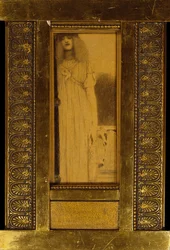 Studio di una donna