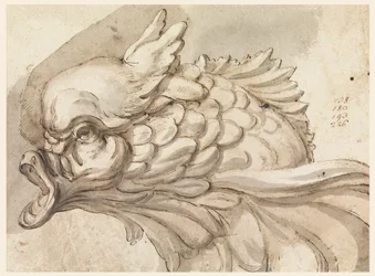 Disegno, Testa di un delfino, ca. 1775