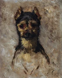 Testa di cane