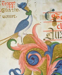 Messale 515 f.28v Uccello fantastico con testa umana, (dettaglio)