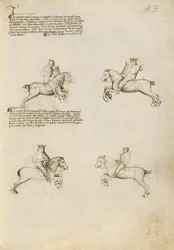 Combattimento equestre con la lancia