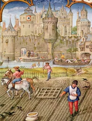 Foglio 10 verso, mese di ottobre: semina, dal Breviarium Grimani, ca. 1515