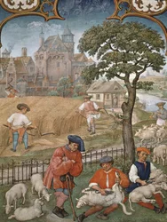 Fol.7v Il Mese di Luglio: Raccolto e Tosatura delle Pecore, dal Breviarium Grimani, c.1515