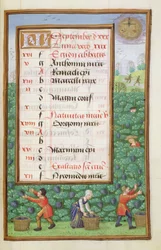 Ms 1058-1975 f9r Raccolta dell