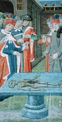 Ms Hunter 9 f.12v Dissezione, da 