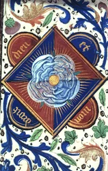 Rosa Bianca della Casa di York, da 