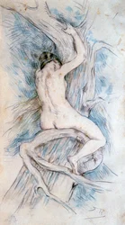 Amadriade