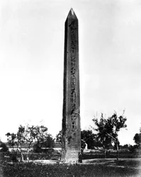 Obelisco di Eliopoli, Egitto, 1878