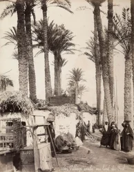 Villaggio sulle rive del Nilo