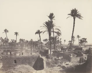 Interno di un villaggio arabo