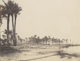 El-Nâcerah, Dattieri, Rive del Nilo e Barche, 1851-52, stampato 1853-54