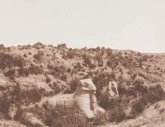 Sfingi con testa umana e testa di ariete a Point Y. Karnak Tebe, 1851-1852