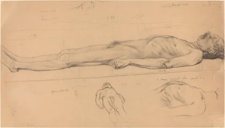 Il Cadavere (Studio per Il Cristo Morto)