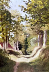 Sottobosco