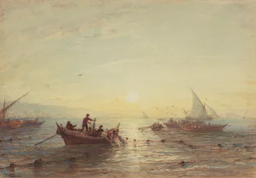 Pesca al tonno all