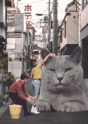 Bambini che lavano un gatto gigante nelle strade di Tokyo