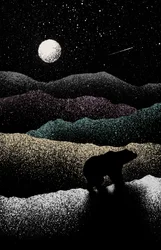 Orso Vagante