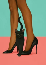Gatto nero con tacchi alti