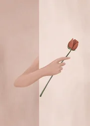 Una mano che regge una rosa