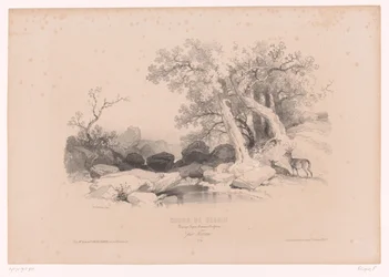 Paesaggio roccioso con acqua e due cervi